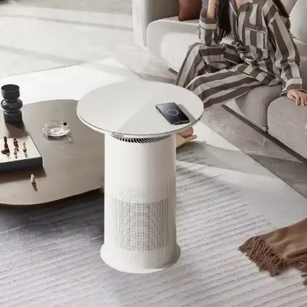 Energy Efficient HEPA Filter for Allergy Sufferers